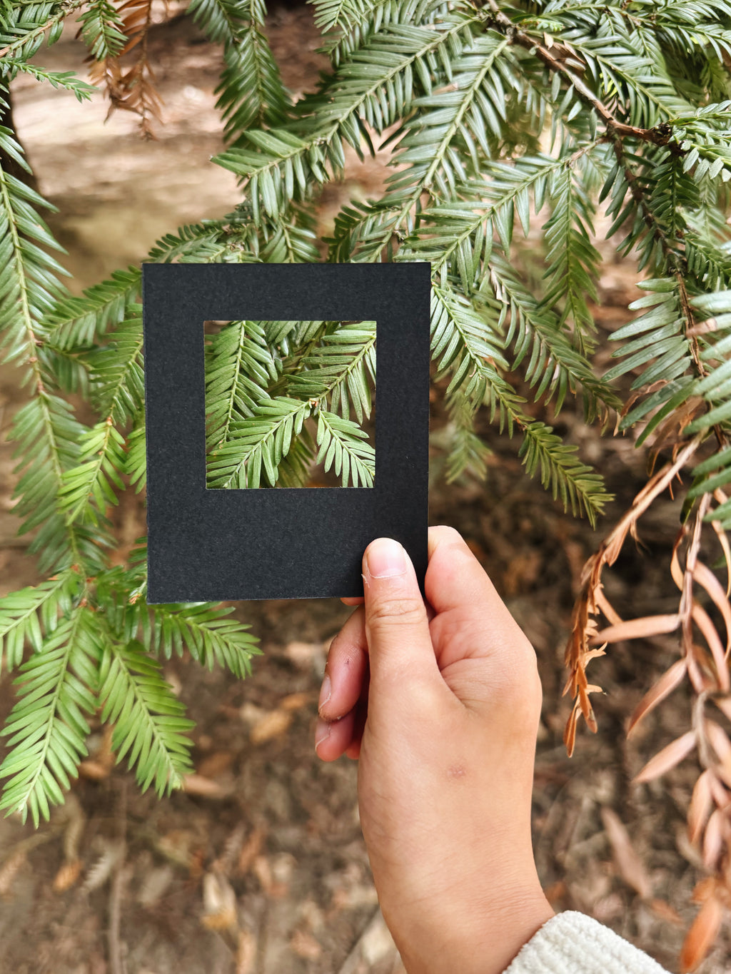 Circle Square Post
